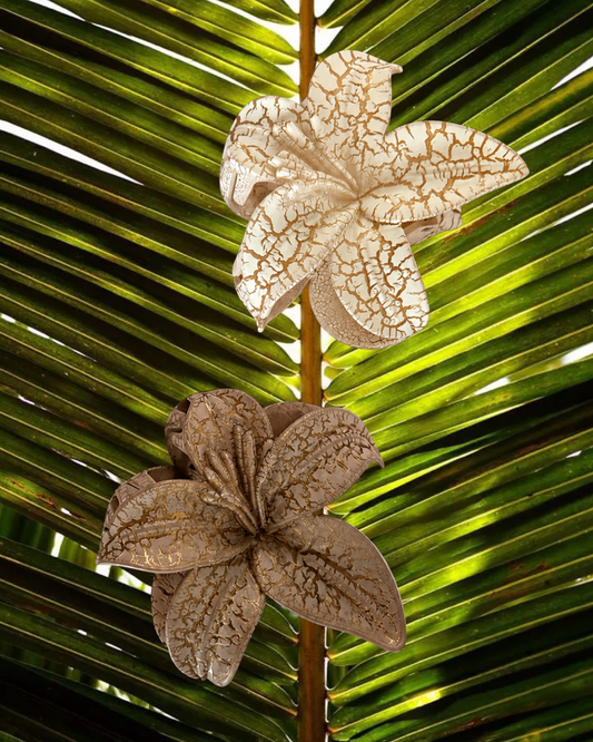 The Orchid Clip